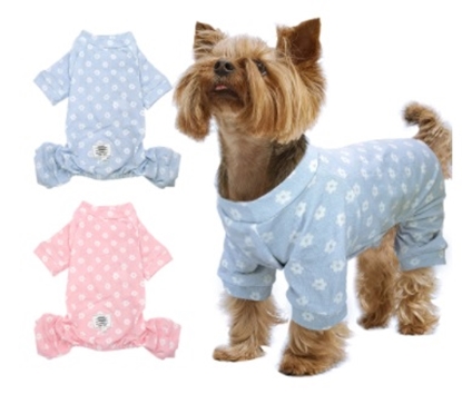 Picture of Dog Pajama